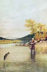 Trout Fisherman